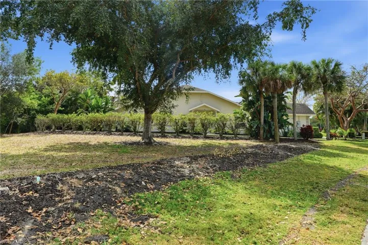 View of grassy yard