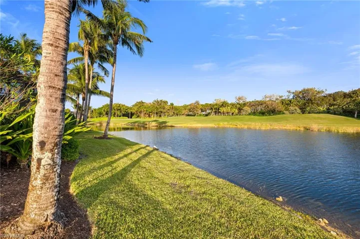 Amazing views of the 15th of the Palm Course...and always a variety of birds flying by!