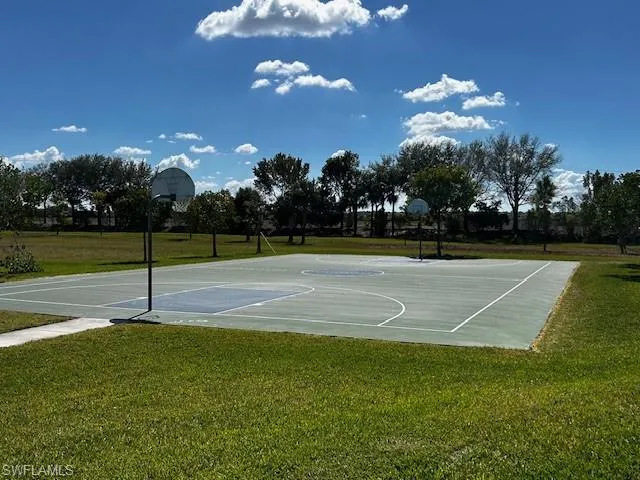 Basketball court
