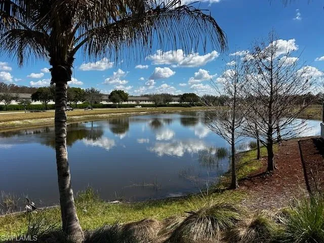 Lake view from pool