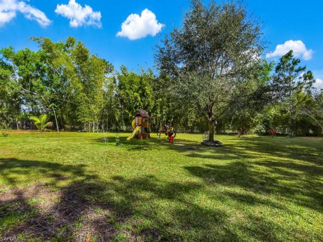 Large Backyard