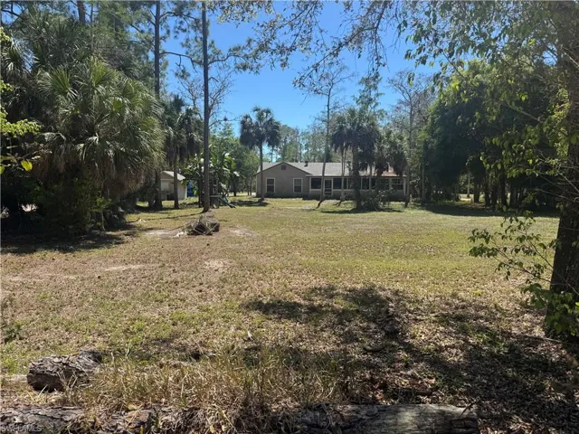 View of grassy yard