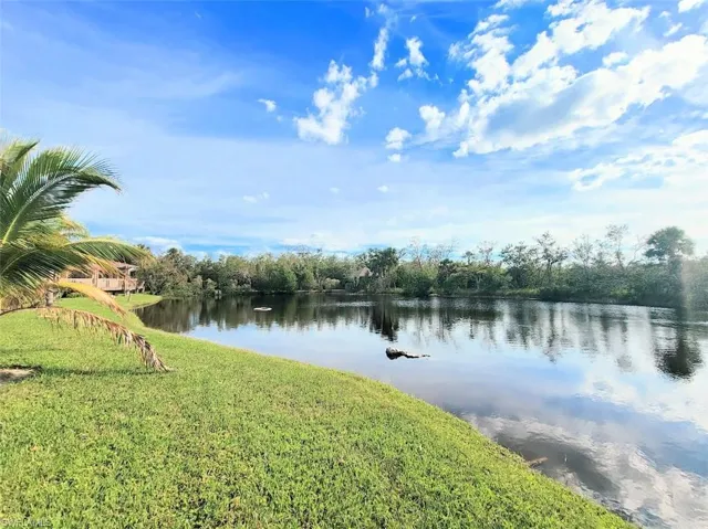 Lake - View #1