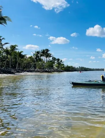 Kayak view