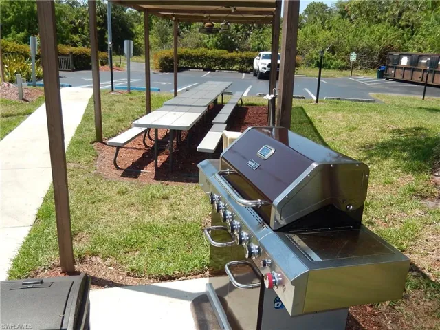 BBQ and Picnic with Friends