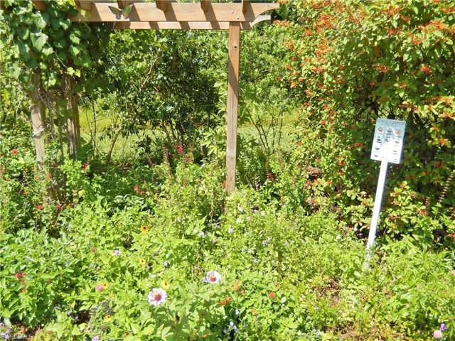 Butterfly Garden