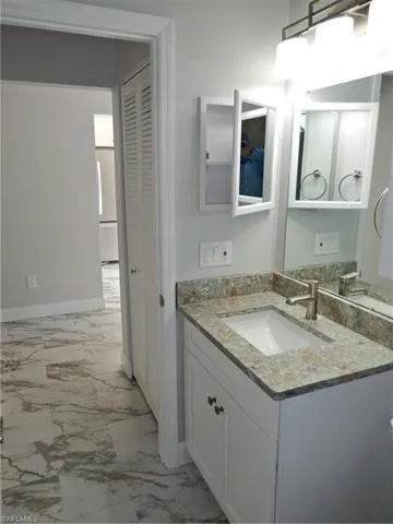 New Vanity Sink, Toilet and fixtures