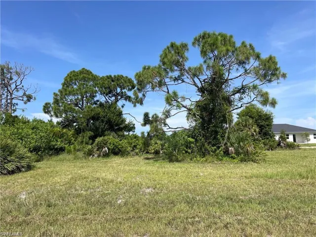 View of nature