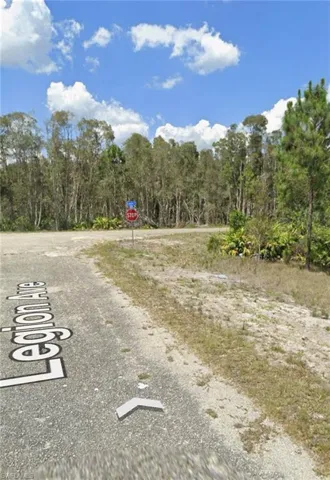 View of street with traffic signs and a forest view