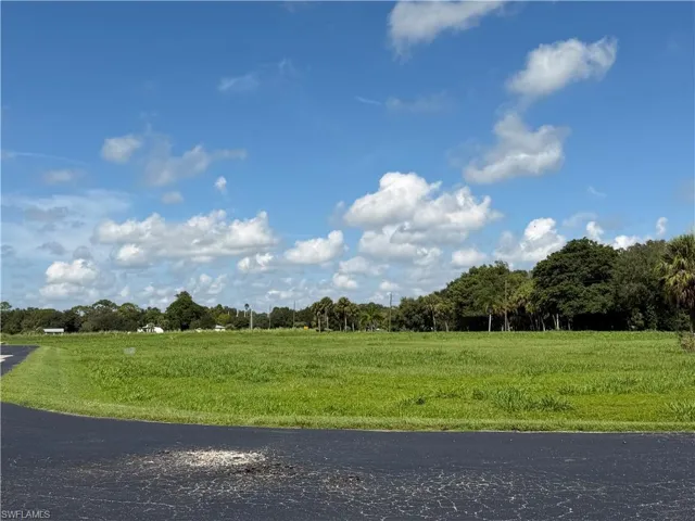 Expansive open lot with natural grass and mature trees