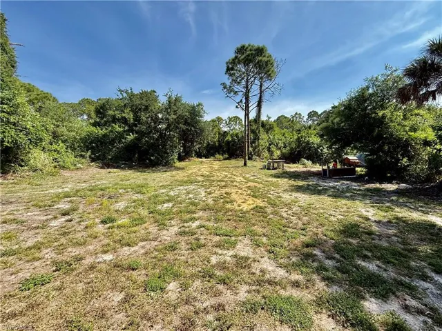 Oversized backyard