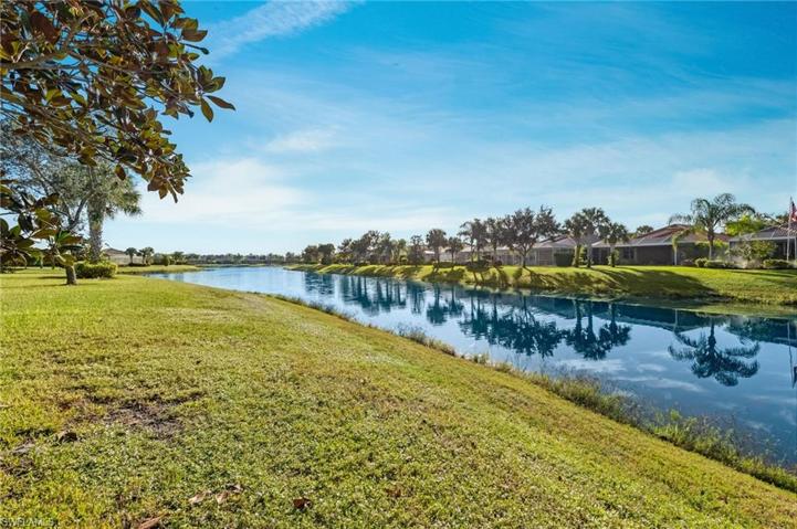 Lovely Lake View