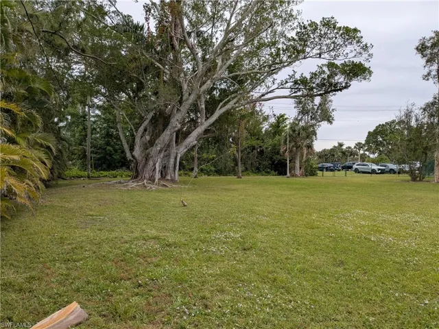 View of Back  yard