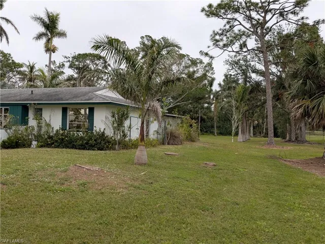 View of Side  yard