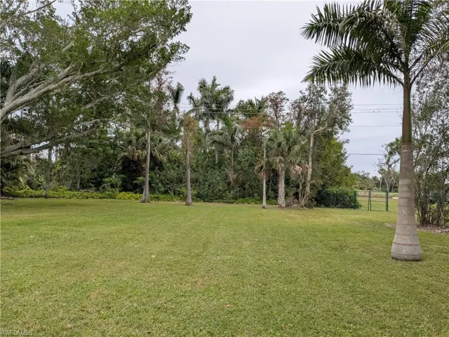 View of Back  yard