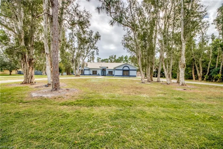 View of grassy yard