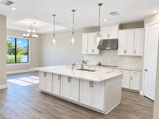 Modern kitchen featuring white shaker cabinetry, an expansive island with a built-in sink, stainless steel appliances, and wood-finish flooring