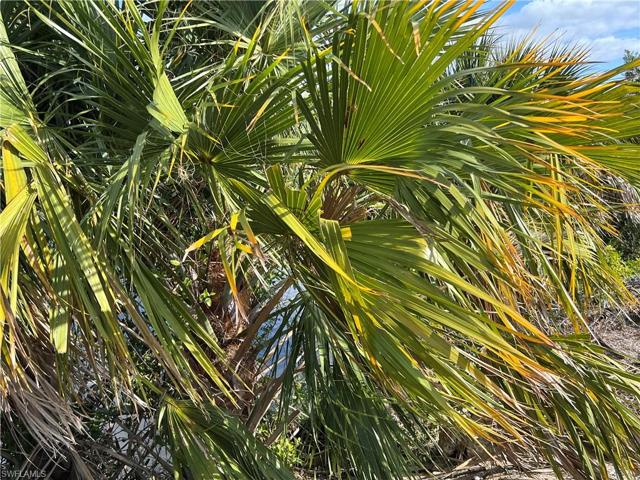2301 NW 6th ST, CAPE CORAL FL 33993