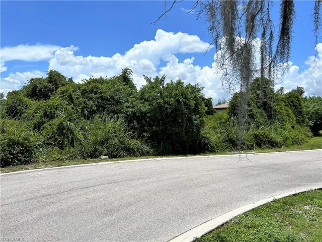 2109 SCRUB OLIVE CT