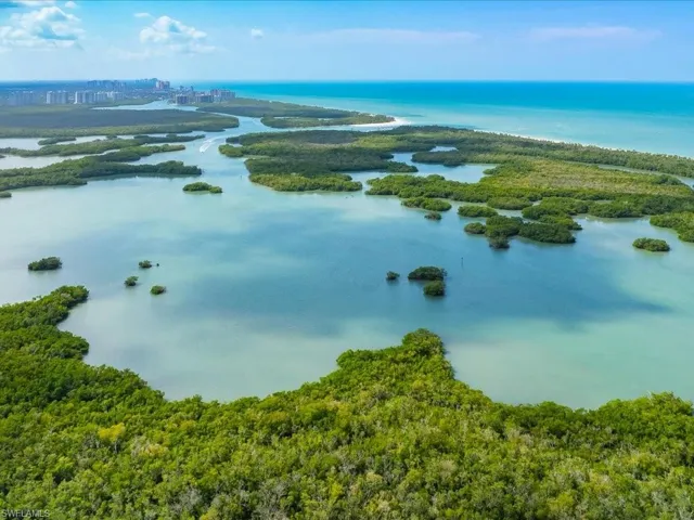 1001 Arbor Lake Dr # 606, Naples Fl 34110