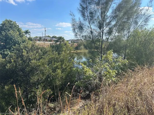 1703 Nw 7th Ave, Cape Coral, Florida 33993