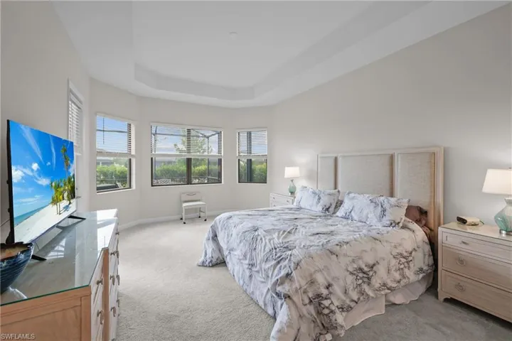 Bedroom with  large area for sitting room baseboards, multiple windows, light carpet, and a tray ceiling