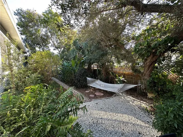 Relaxing & Peaceful Hammock in the Back Yard