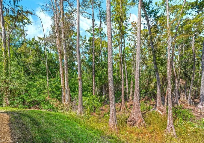10171  Strike  LN, Bonita Springs, FL 34135