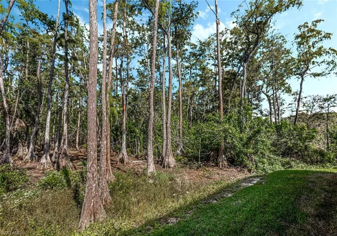 10171  Strike  LN, Bonita Springs, FL 34135