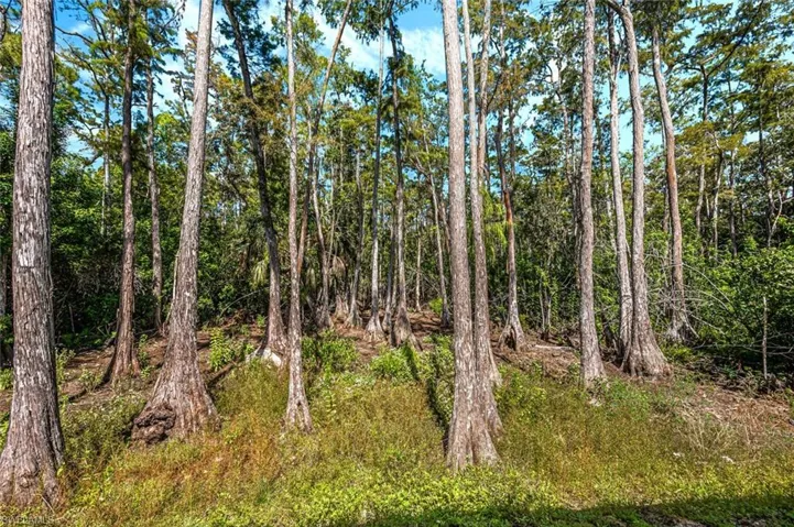 10171  Strike  LN, Bonita Springs, FL 34135