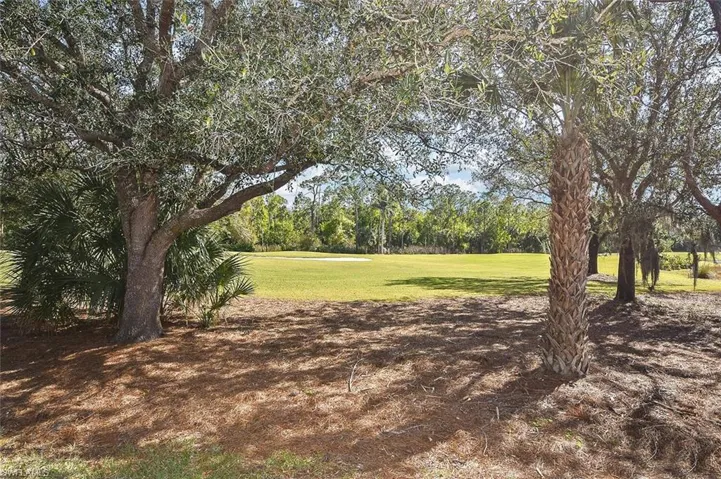 View of some of the natural foliage gives you a nice shaded buffer