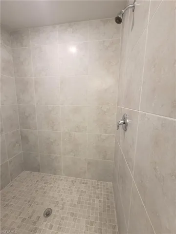 Bathroom with a tile shower