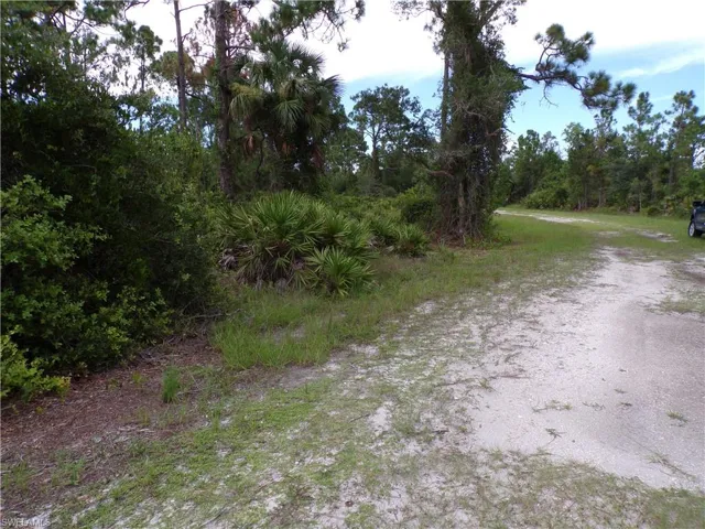 View of road