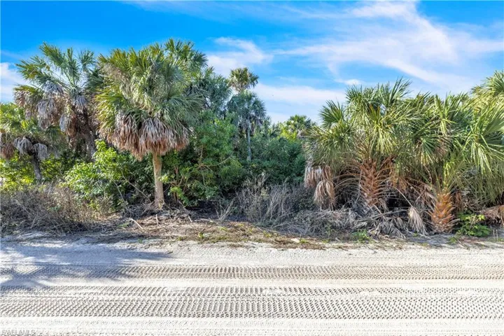 treet-level view of the lot frontage — mature palms and native vegetation frame a natural, untouched canvas ready for your custom island build.
