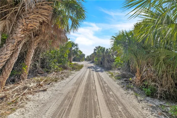 The sandy lane leading to the lot — pure North Captiva character, where the roads are unpaved and the pace is unhurried.