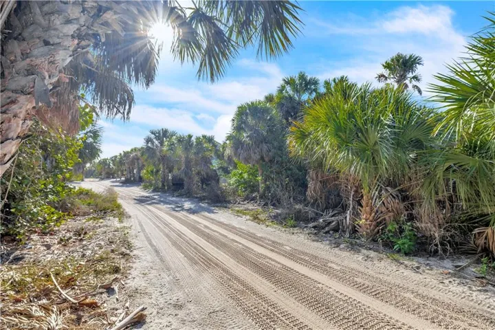 The sandy lane leading to the lot — pure North Captiva character, where the roads are unpaved and the pace is unhurried.