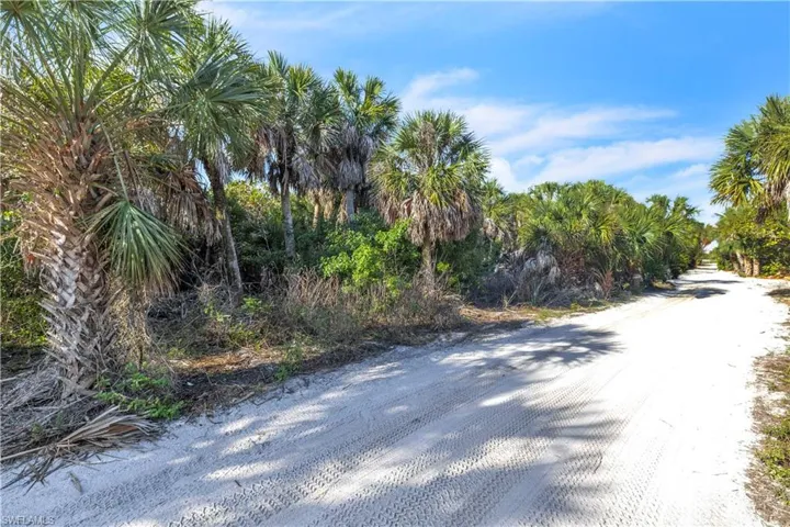 View of dirt / gravel road