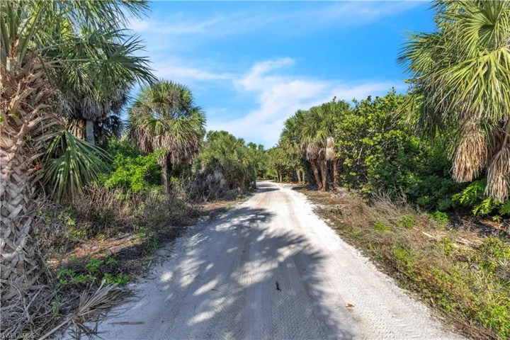 View of dirt / gravel road