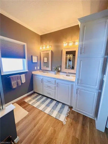 Bathroom with vanity, ornamental molding, wood-type flooring, and a textured ceiling