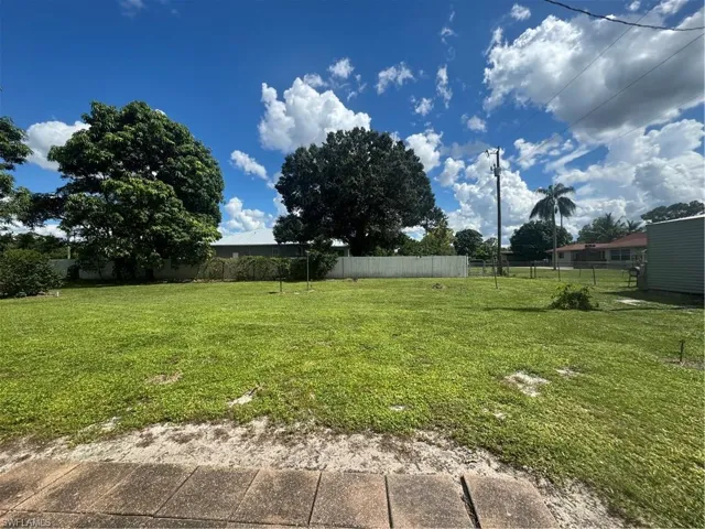 Back Yard