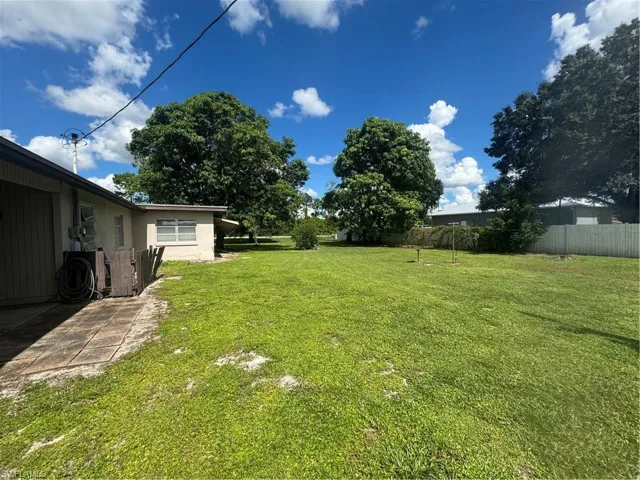 Back Yard