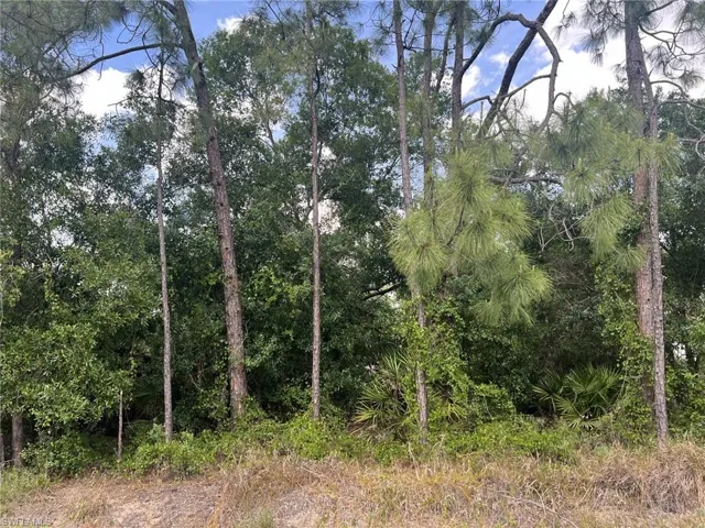Lot from road