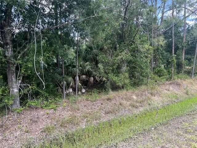 Lot from road