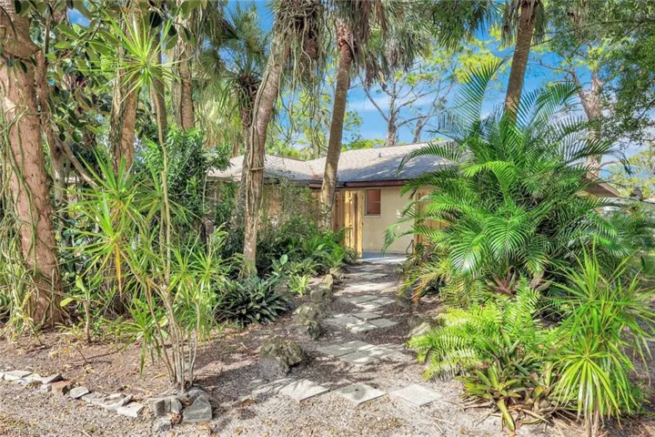 Tropical garden and walk to front entrance.