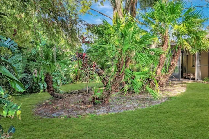 Beautiful tropical landscape and back yard.