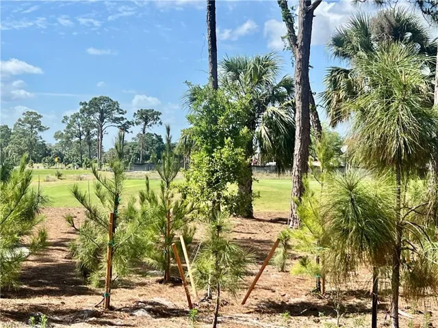View of  golf course from the yard