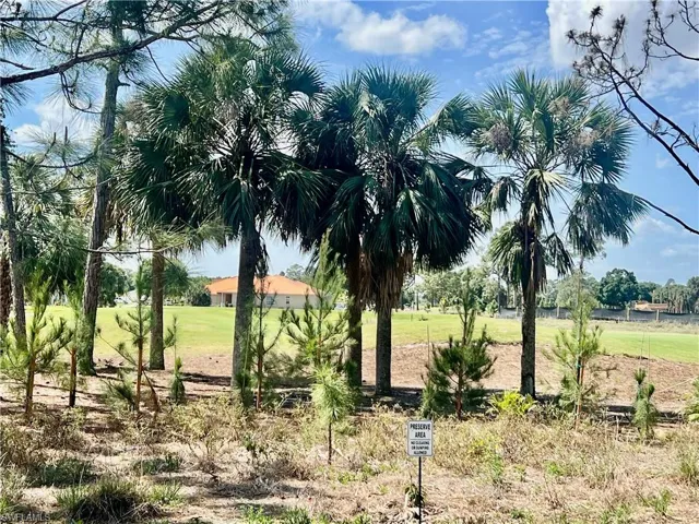 View of  golf course from the yard
