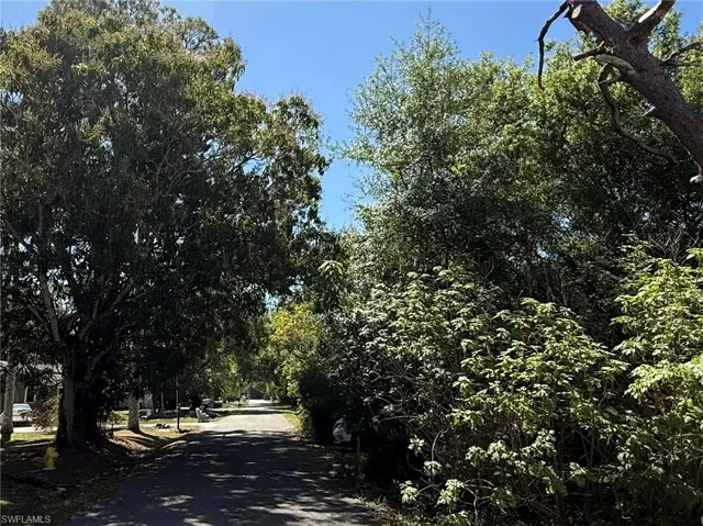 Beautiful tree lined street.