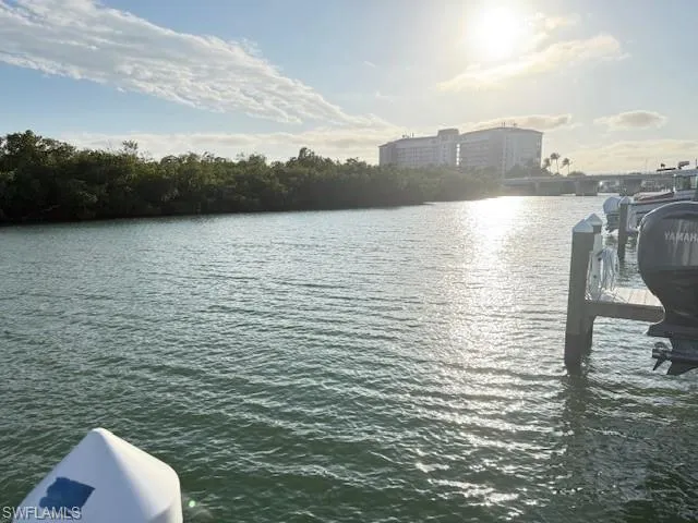 Water view with a dock