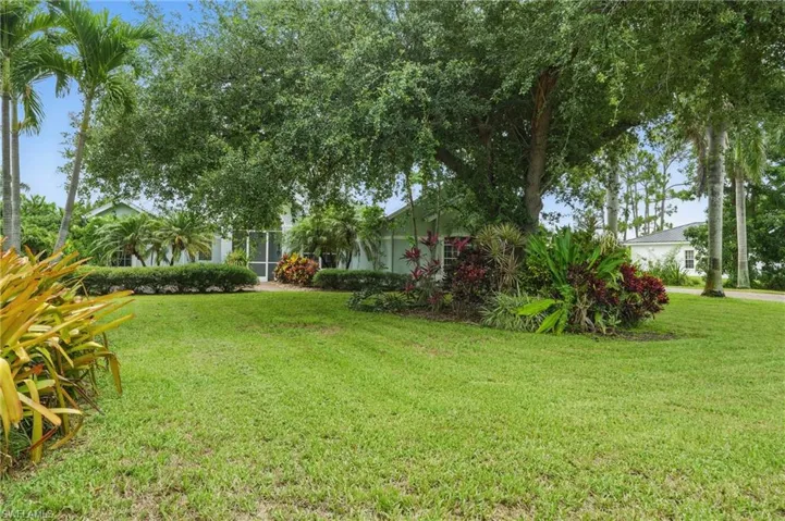 Beautifiul Oak Tree in the front yard